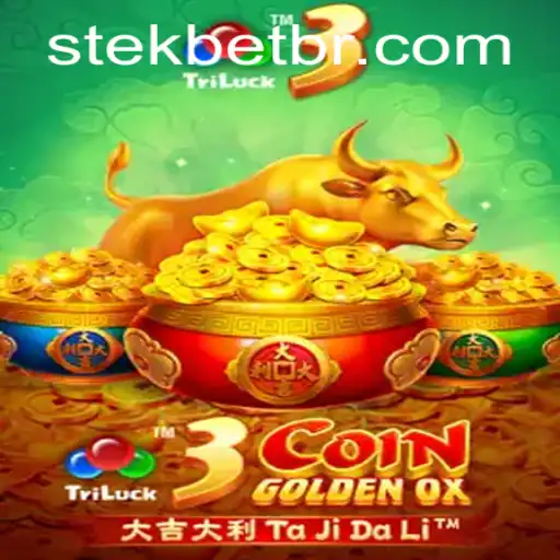 stekbet Casino App